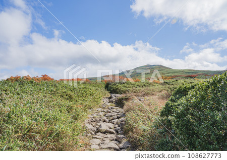 Yamagata Autumn Gassan Mountain Trail 108627773
