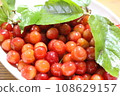 wild cherry fruit and leaves 108629157