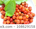 wild cherry fruit and leaves 108629158