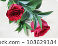 Red Rose Flower 108629184
