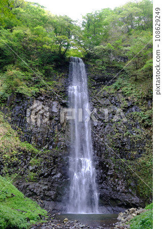 山形縣坂田市的玉簾瀑布 山形縣坂田市的玉簾瀑布 108629249
