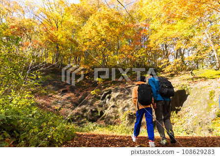 Parent and child hiking through a forest of autumn leaves 108629283