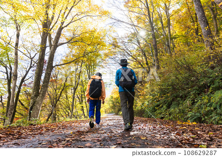 Parent and child hiking through a forest of autumn leaves 108629287