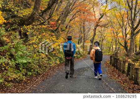 Parent and child hiking through a forest of autumn leaves 108629295