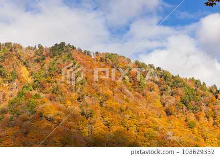 美麗的山與秋天的落葉 美麗的山與秋天的落葉 108629332