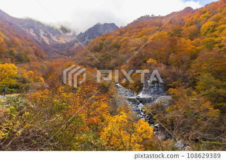 美麗的山與秋天的落葉 美麗的山與秋天的落葉 108629389