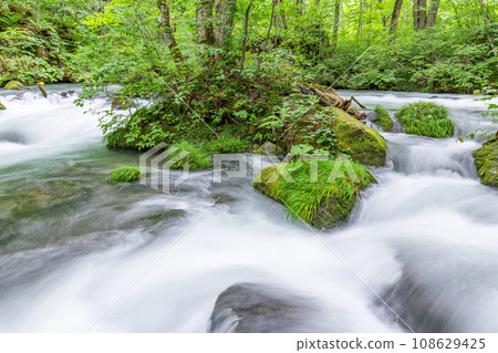 青森縣十和田市，夏季的奧入瀨溪流（溪流圖） 108629425