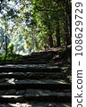 Kumano Kodo stone stairs 108629729