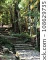 Kumano Kodo stone stairs 108629735