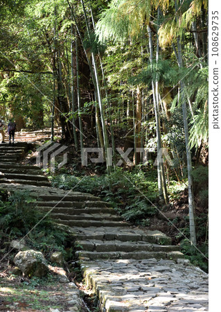 Kumano Kodo stone stairs 108629735