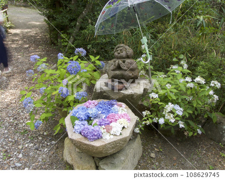 愛野繡球花園石碗,裡面有繡球花和地藏像/兵庫縣三田市上愛野 愛野繡球花園石碗,裡面有繡球花和地藏像/兵庫縣三田市上愛野 108629745