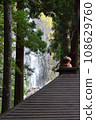 Nachi Falls seen through the trees 108629760