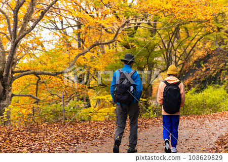 Parent and child hiking through a forest of autumn leaves 108629829