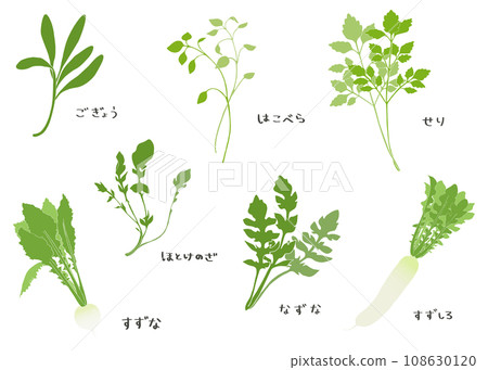 春天七種草本插圖集向量 108630120