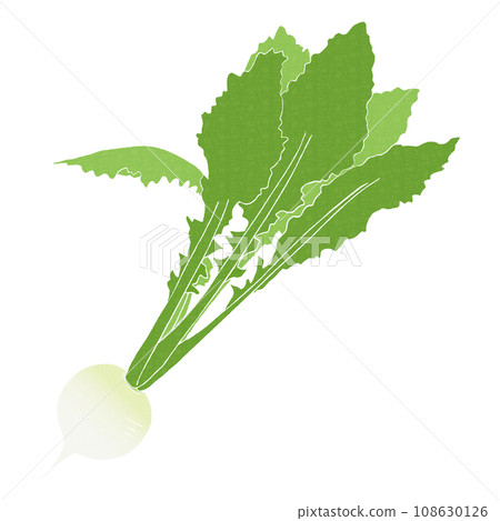 蘿蔔、春草、鈴菜的插圖 蘿蔔、春草、鈴菜的插圖 108630126