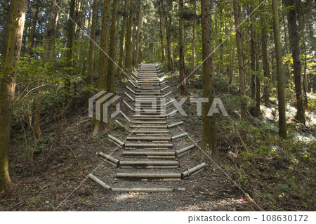Hodosan Mountain Trail, Stiff Stairs, Nagatoro Town, Saitama Prefecture Hodosan Mountain Trail, Stiff Stairs, Nagatoro Town, Saitama Prefecture 108630172