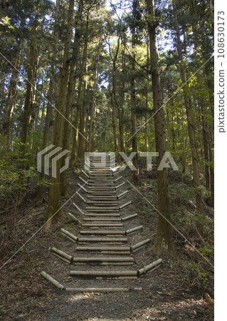 Hodosan Mountain Trail, Stiff Stairs, Nagatoro Town, Saitama Prefecture 108630173