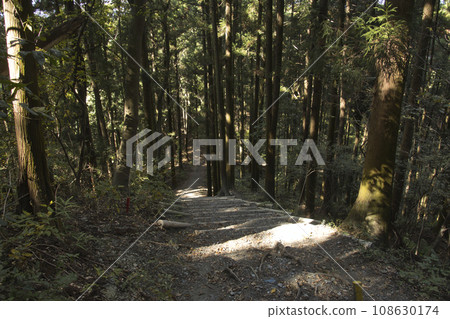 Hodosan Mountain Trail, Stiff Stairs, Nagatoro Town, Saitama Prefecture Hodosan Mountain Trail, Stiff Stairs, Nagatoro Town, Saitama Prefecture 108630174