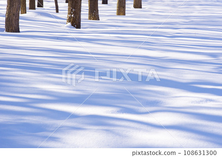 Shadows of trees on a snowy field 108631300
