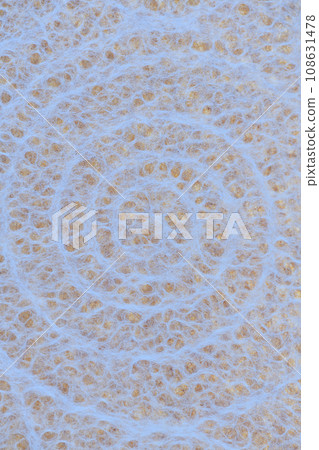用日本紙製作的菊石化石圖像的背景資料 108631478