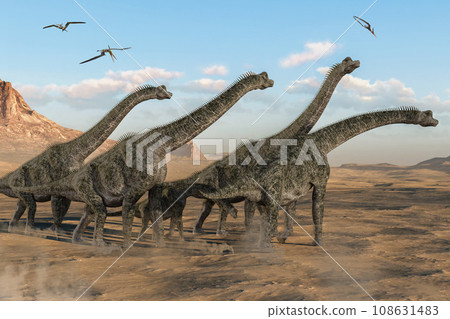 A herd of Brachiosaurus walking through the majestic nature A herd of Brachiosaurus walking through the majestic nature 108631483