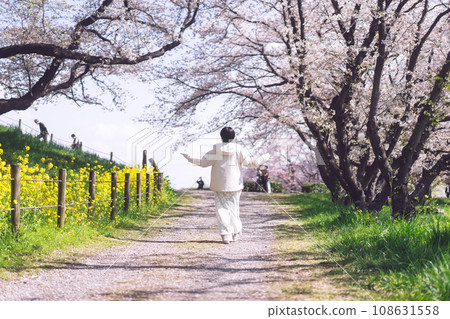 Rear view of japanese woman walking relax in nature spring blossom Sakura tree flower background Rear view of japanese woman walking relax in nature spring blossom Sakura tree flower background 108631558