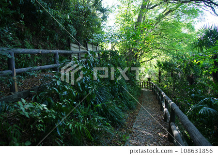 “Tokutomi Roka” Literary Walking Path “Tokutomi Roka” Literary Walking Path 108631856