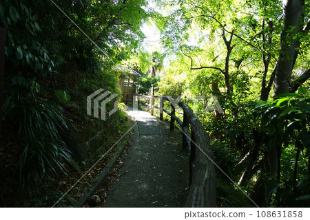 「德富蘆花」文學散步路 108631858