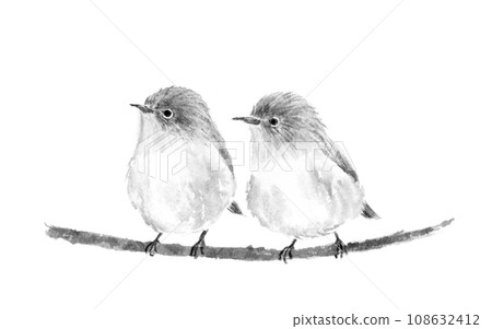 Ink painting of a pair of white-eyes, sumi-e 108632412