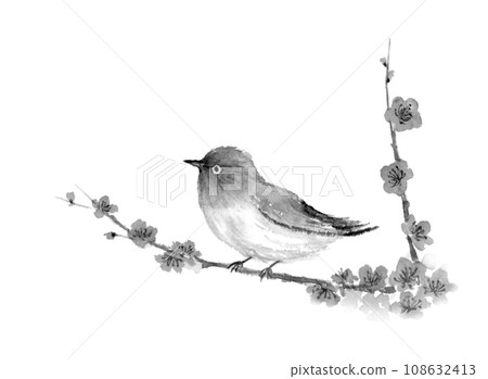 Ink painting of a white-eye perched on a plum branch. Ink painting of a white-eye perched on a plum branch. 108632413