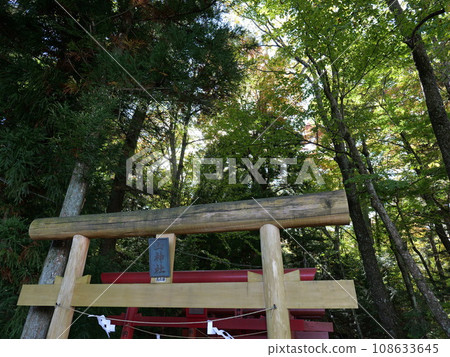 Arayayama Shrine, Japan's three major money luck shrines 108633645