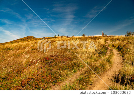 The Bieszczady Mountains, Carpathians, Poland. The Bieszczady Mountains, Carpathians, Poland. 108633683