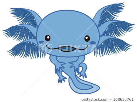 Illustration of blue axolotl Axolotl Blue Illustration of blue axolotl Axolotl Blue 108633761