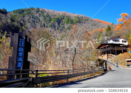 Around Shirahone Onsen (Matsumoto City, Nagano Prefecture) [2023.11] 108634016