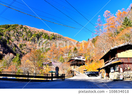 Around Shirahone Onsen (Matsumoto City, Nagano Prefecture) [2023.11] 108634018