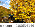 Oku Aizu Showa Village Former Kuimaru Elementary School and Large Ginkgo 108634149