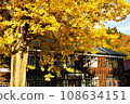 Oku Aizu Showa Village Former Kuimaru Elementary School and Large Ginkgo 108634151