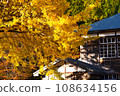 Oku Aizu Showa Village Former Kuimaru Elementary School and Large Ginkgo 108634156