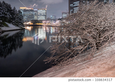《Tokyo》 Snowy Tokyo, around the Imperial Palace in the snowy landscape 《Tokyo》 Snowy Tokyo, around the Imperial Palace in the snowy landscape 108634317