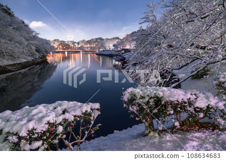 《Tokyo》Tokyo in heavy snow, Chidorigafuchi in snow 108634683