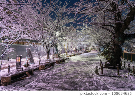 《東京》大雪中的東京,雪中的千鳥淵 《東京》大雪中的東京,雪中的千鳥淵 108634685