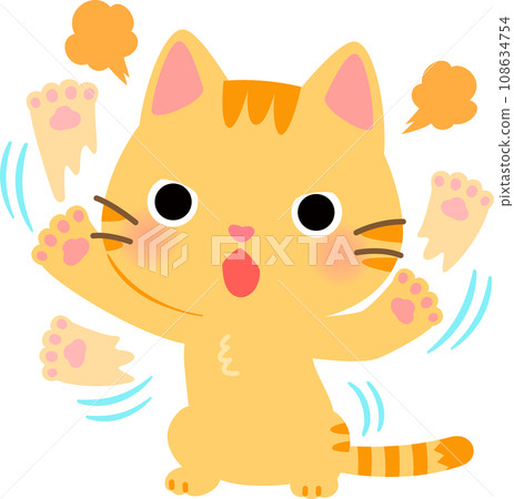 Cat stands up on its hind legs and punches Cat stands up on its hind legs and punches 108634754