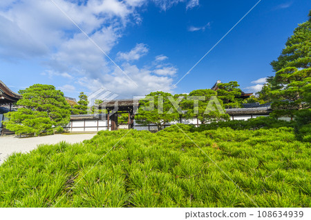 Ninnaji Palace Garden, Palace entrance, huge pine tree 108634939