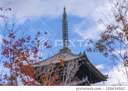 Autumn leaves in front of the five-storied pagoda of Ninnaji Temple (Ukyo Ward, Kyoto City) Autumn leaves in front of the five-storied pagoda of Ninnaji Temple (Ukyo Ward, Kyoto City) 108634982