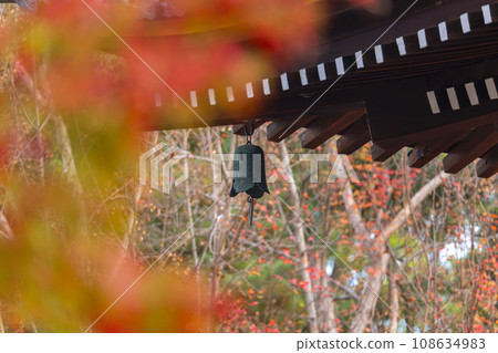 仁和寺、被秋葉包裹的觀音堂風鈴(京都市右京區) 仁和寺、被秋葉包裹的觀音堂風鈴(京都市右京區) 108634983