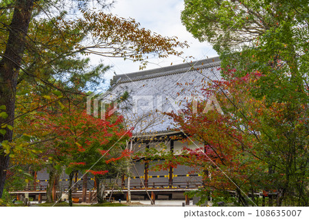 仁和寺、紅葉環繞的近堂(京都市右京區) 仁和寺、紅葉環繞的近堂(京都市右京區) 108635007
