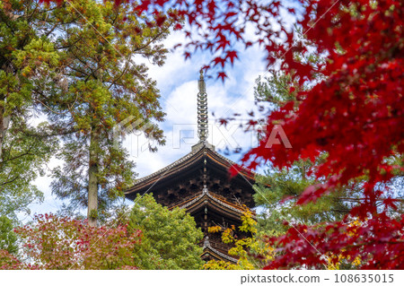 Ninnaji Temple, five-storied pagoda and autumn leaves (Ukyo Ward, Kyoto City) Ninnaji Temple, five-storied pagoda and autumn leaves (Ukyo Ward, Kyoto City) 108635015