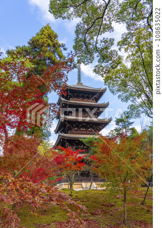 Autumn leaves in front of the five-storied pagoda of Ninnaji Temple (Ukyo Ward, Kyoto City) 108635022