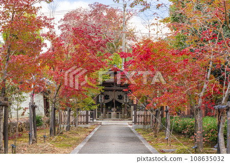 仁和寺 - 參道盡頭的水掛不動尊被秋葉覆蓋 108635032
