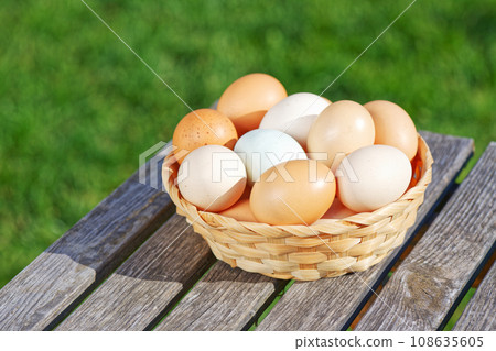 Eggs on green grass 108635605
